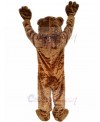 bear mascot costume