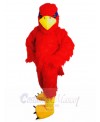 Eagle mascot costume