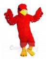 Eagle mascot costume