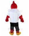 Bird mascot costume