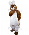 Rabbit mascot costume