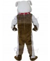 dog mascot costume