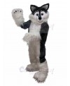 wolf mascot costume