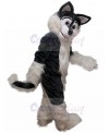 wolf mascot costume