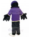 Eagle mascot costume