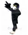 Eagle mascot costume