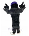 Eagle mascot costume