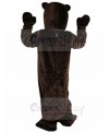 mole mascot costume