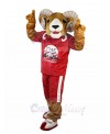 Ram mascot costume
