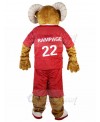 Ram mascot costume