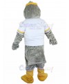 Bird mascot costume