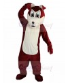 wolf mascot costume