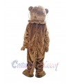 Tiger mascot costume