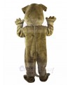 dog mascot costume