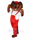 Hamster mascot costume