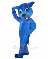 wolf mascot costume