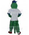 alligator mascot costume