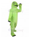 Dinosaur mascot costume