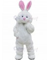 Rabbit mascot costume