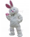 Rabbit mascot costume