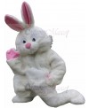 Rabbit mascot costume