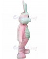 Rabbit mascot costume