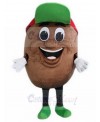 Potato mascot costume