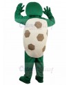 Turtle mascot costume