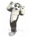 wolf mascot costume