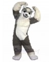 wolf mascot costume