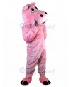 Hippo mascot costume