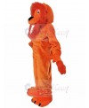 Lion mascot costume