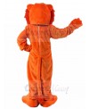 Lion mascot costume
