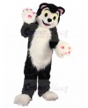 cat mascot costume