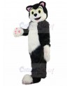 cat mascot costume
