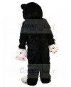 cat mascot costume