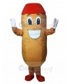 Peanut mascot costume