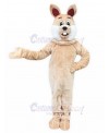 Rabbit mascot costume