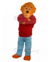bear mascot costume