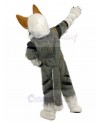 dog mascot costume