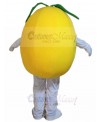 Pear mascot costume