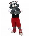 wolf mascot costume