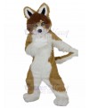 dog mascot costume