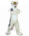 dog mascot costume