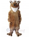 Tiger mascot costume