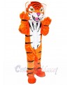 Tiger mascot costume