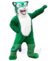 Tiger mascot costume