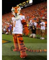 Tiger mascot costume