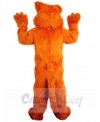 Tiger mascot costume