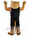 Tiger mascot costume